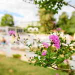 Madara Park فندق 4*