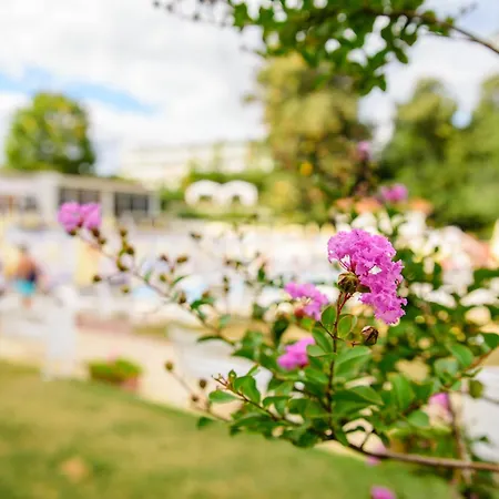 Madara Park Отель 4*