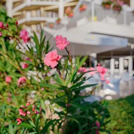 호텔 Madara Park 4*