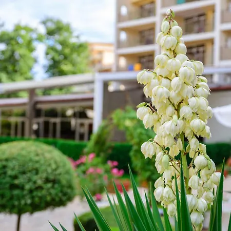 Madara Park Hotel Nisipurile de Aur