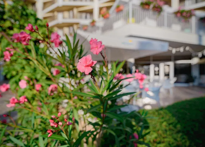 Hotel Madara Park 4*